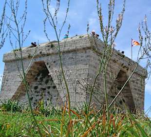 Castell de la Punta de n`Amer