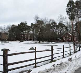 Freilichtmuseum Skansen