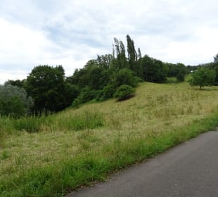 Im und ums Tapachtal