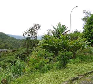 Wildlife Expeditions