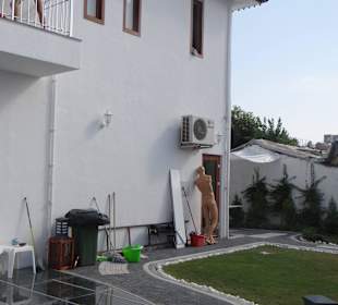 Pod szybami widać prawdziwy poziom antycznego mias