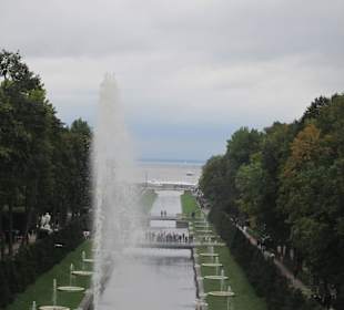 Park Dolny Peterhof
