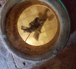 Weinmuseum und Kakteen-Ausstellung El Grifo