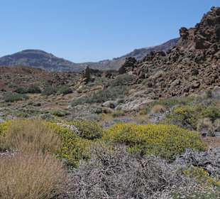 Teide Nationalpark