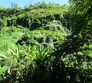 Die Wasserfälle der Anse des Cascades