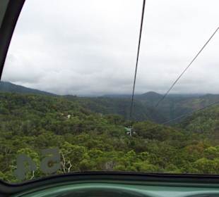 Skyrail Rainforest Cableway