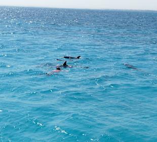 Ausflug vom 14.02.17 mit Mohamed