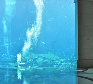 Aquarium