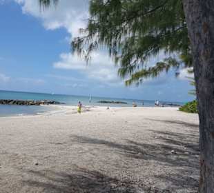 Der Strand von Fort Zachary 