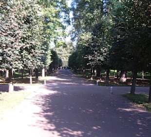 Parkanlage Peterhof