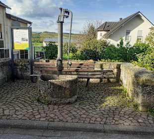 Historischer Brunnen in Bad Sobernheim