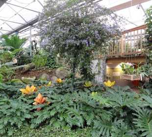 Raffeiner Orchideenwelt