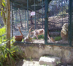 Tierpark Manavgat