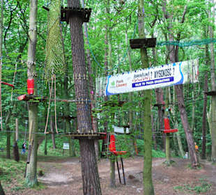 Park Linowy Bluszcz