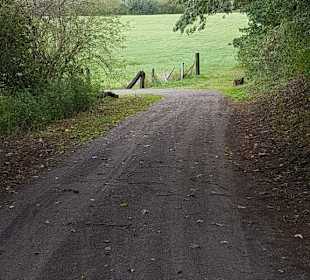 Dorsten Hardt Uferseite Weg zum Fluss