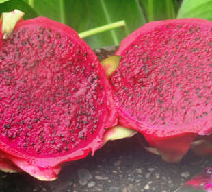 Rundreise mit Guide Wayan Pageh Market