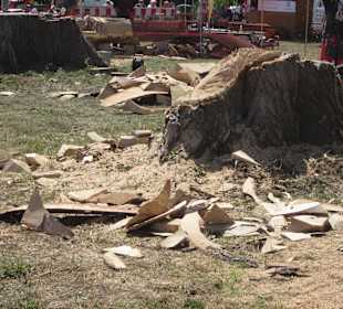 Kreativ Kettensägen am Rhein