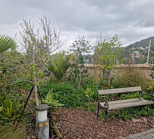 Hundertwasser Art Centre