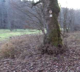 Schönbuch Schaichtal