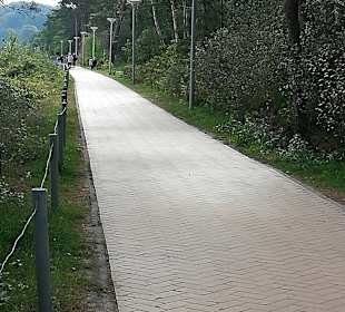 Wandern Baabe [Rügen]