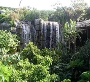 Wasserfall