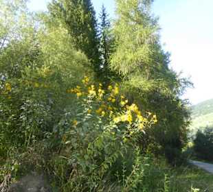 Wandern Sesto / Sexten