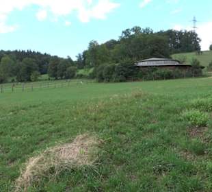 Haupt- und Landgestüt Marbach