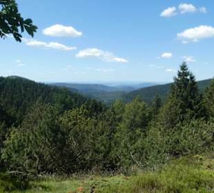 Eindrücke aus dem Rennsteiggarten