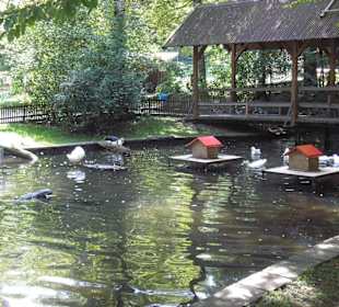 Der Teich mit Brücke