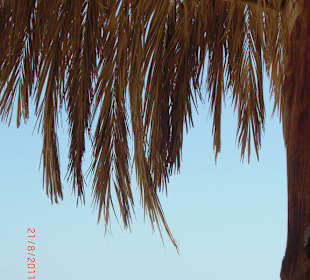 Auf der Insel Mahmya