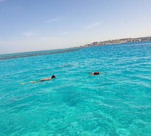 Schnorcheln im Roten Meer