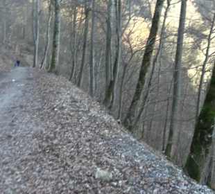 Wandertour Eppenzill