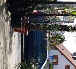 Am Eingang zum Biergarten