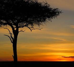 Sundowner in der Masai Mara