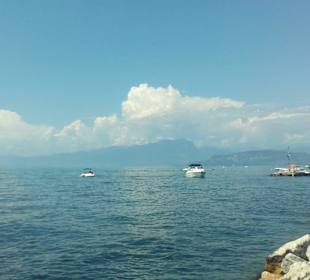 Lazise