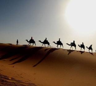 Camel Trek