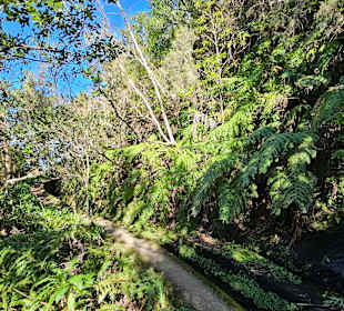 Levada do Norte