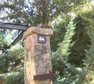 Gartenanlage - Spektakel im Garten