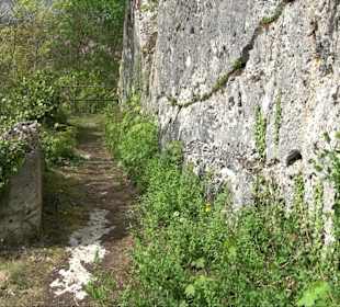 Schloss Wallerstein