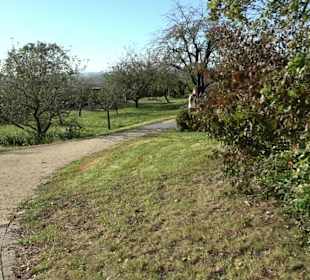 Klostergarten - Garten der Pilger Oberelchingen
