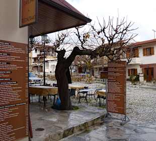 Ausflug in das Toodos Gebirge