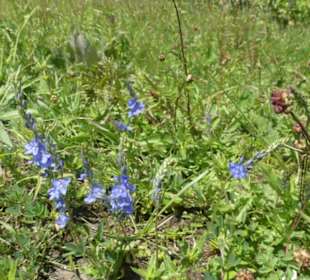 Unterwegs auf der Ostheimer Streifberg-Tour
