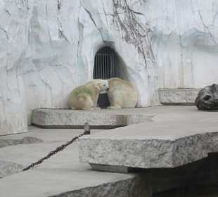 Impressionen aus dem Zoo Karlsruhe