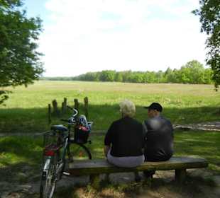 Naturschutzgebiet Boberger Niederung