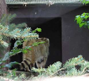 Zoo Ostrava