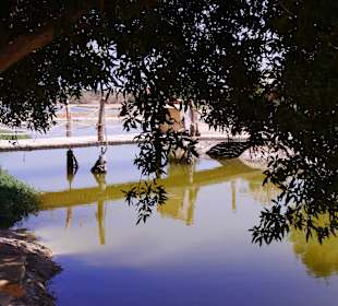 Unglaublich ruhig...