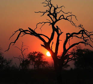 Sonnenuntergang Linyanti Gebiet