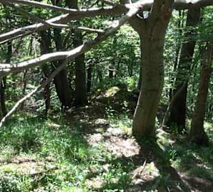 Premiumwanderweg "hochgelegen"
