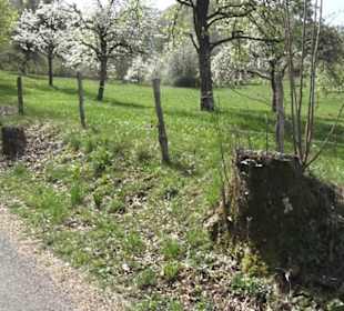 Wanderweg Hochgehkämpft