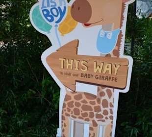 Singapur Zoo